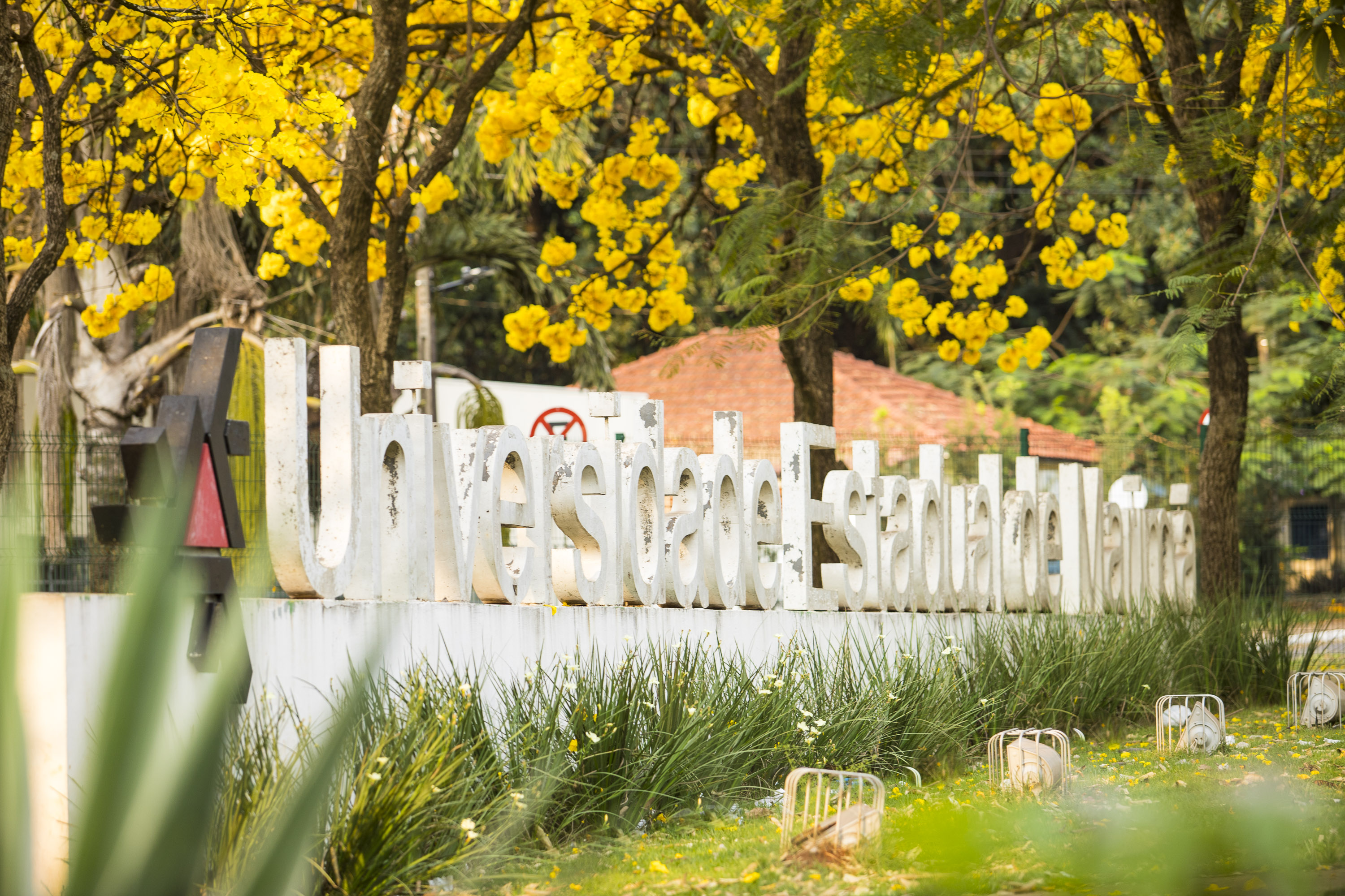 2020 09 07 Fachada UEM Ipês Amarelos 8528