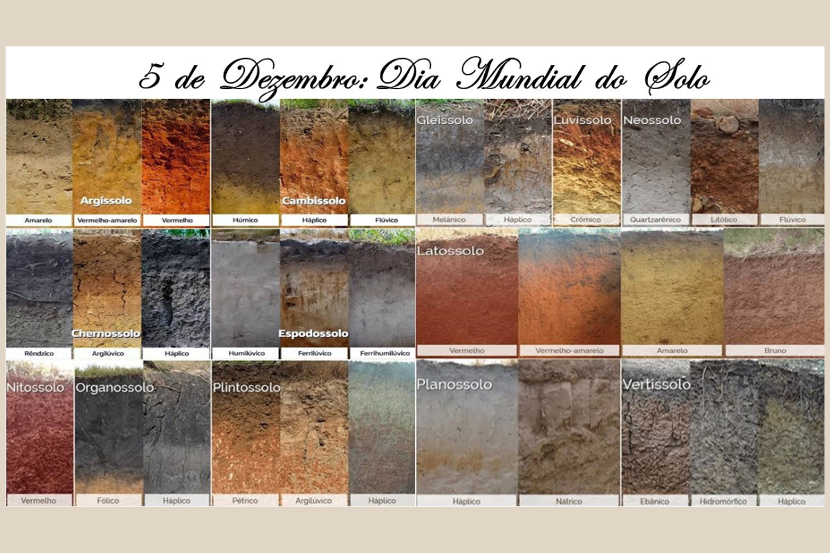 Dia Mundial do Solo OK