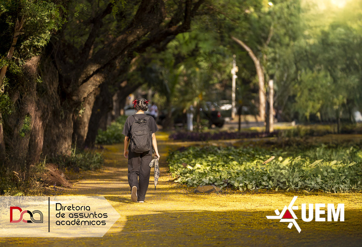 2025 10 10 Fotos Passarela arvore amarela