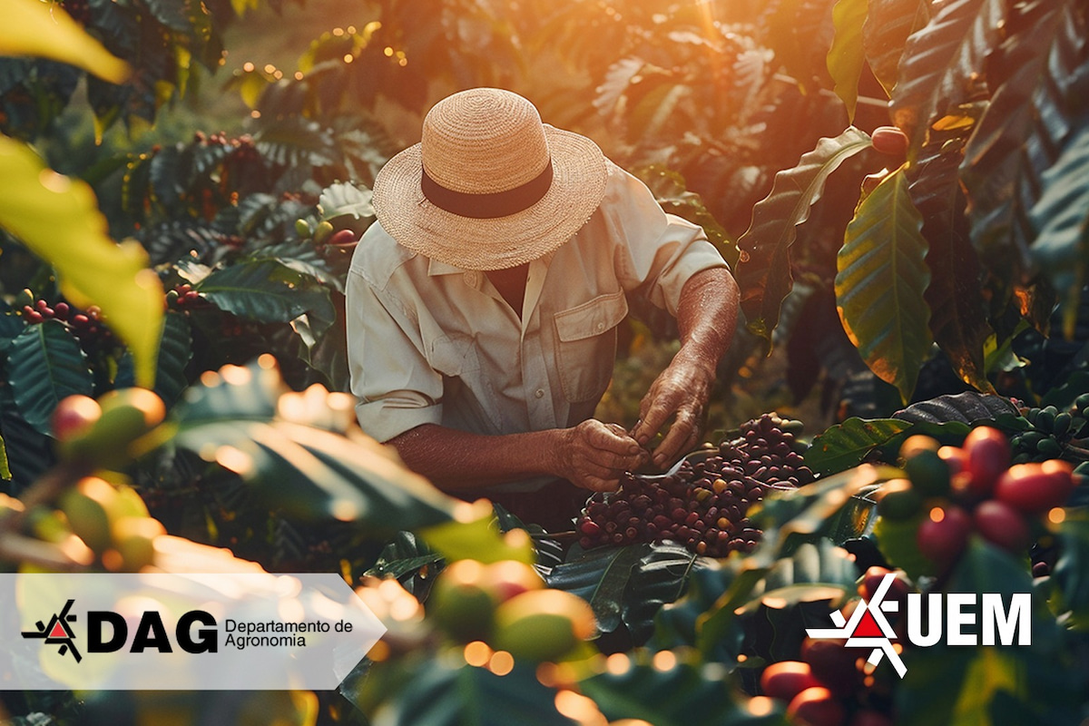 Dia de Campo Cafés Especiais