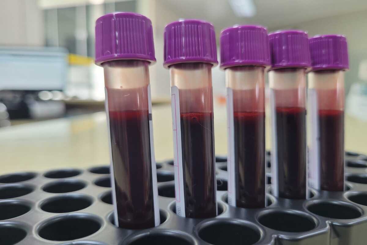 Hemocentro Fevereiro Laranja