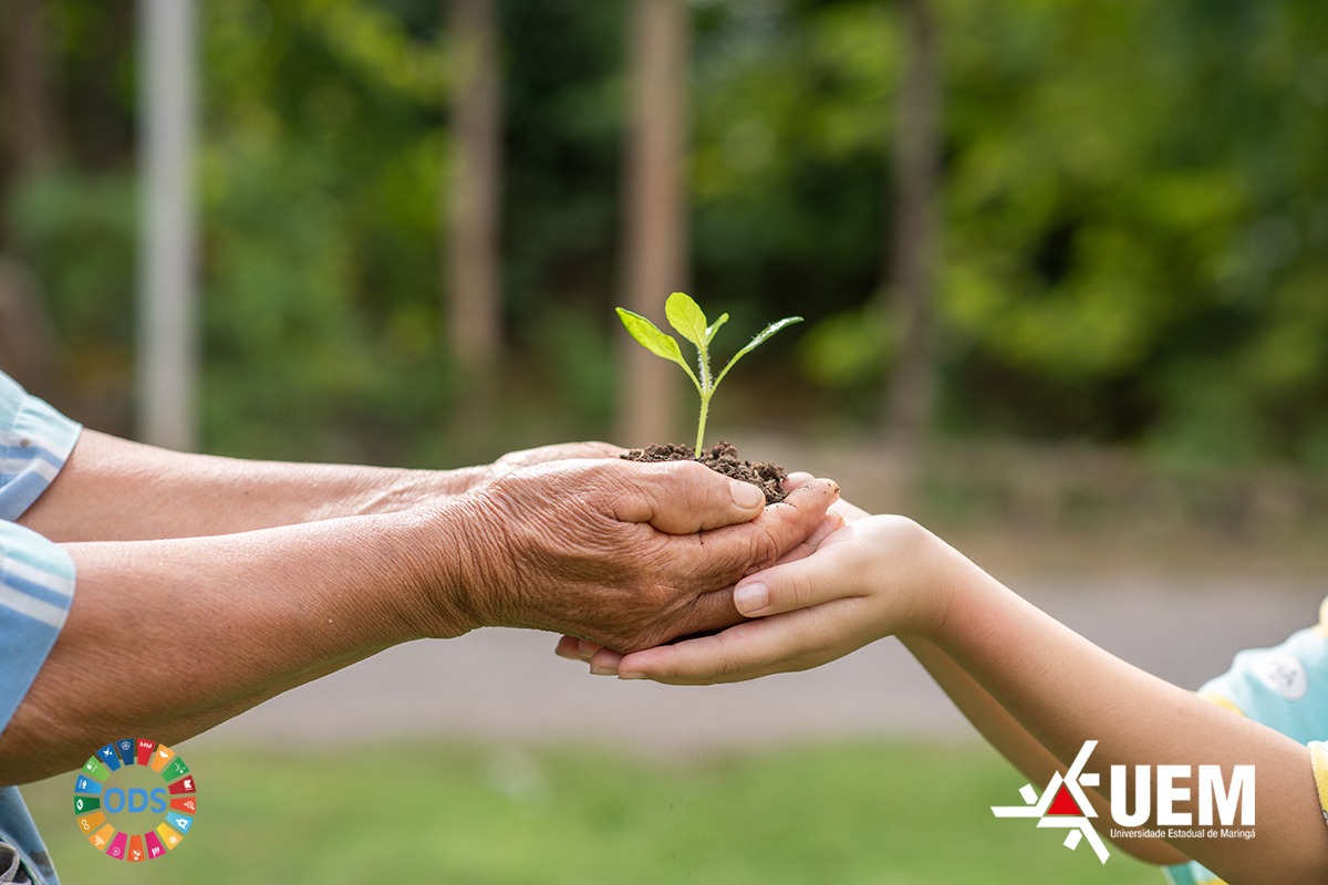 Imagem Relatório Ambiental valendo