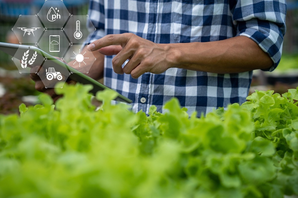 Mestrado PPS Produção sustentável 1