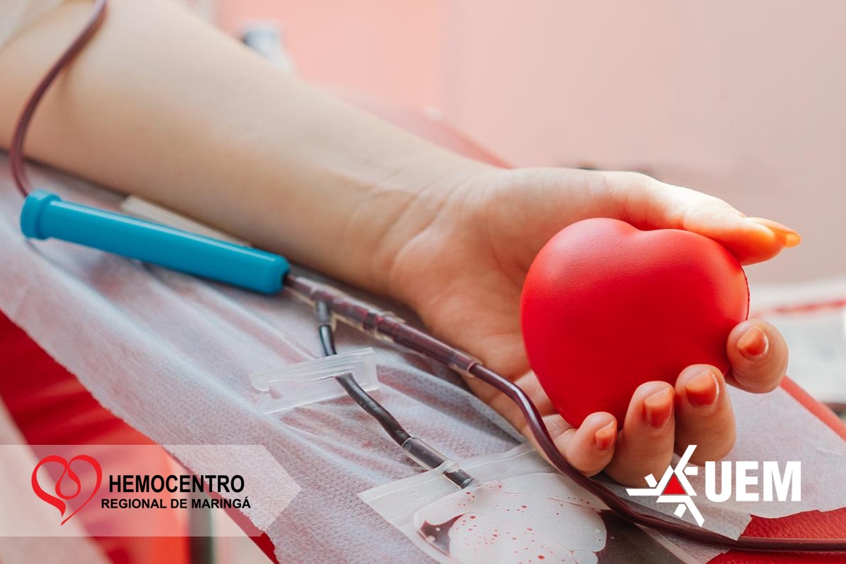 WhatsApp Image 2025 11 24 at 15.38.34