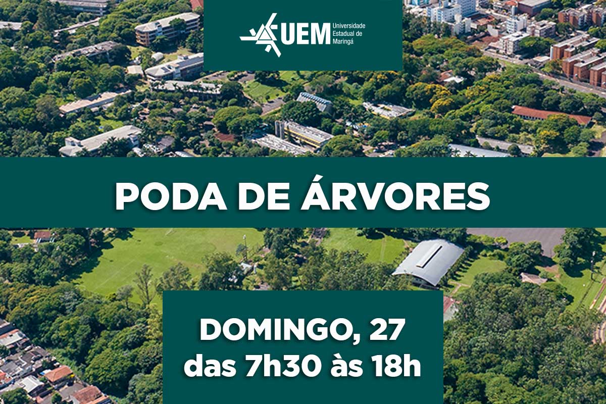 domingo 27 poda arvores