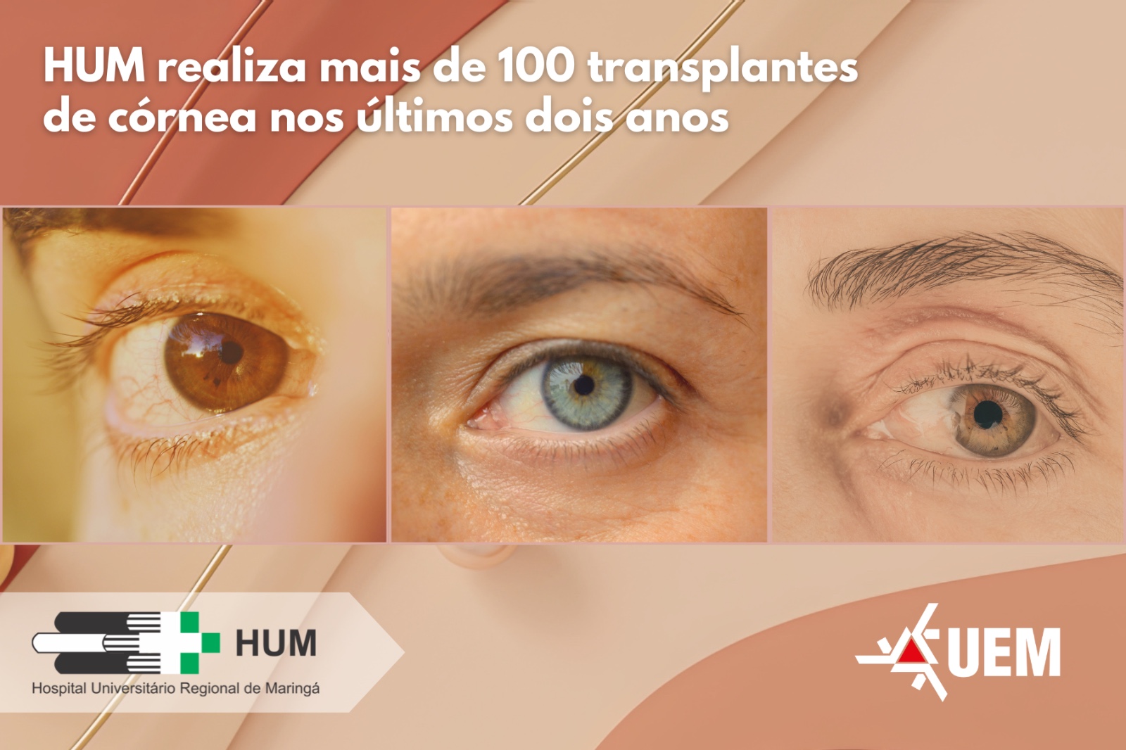 WhatsApp Image 2026 01 30 at 10.03.52 1