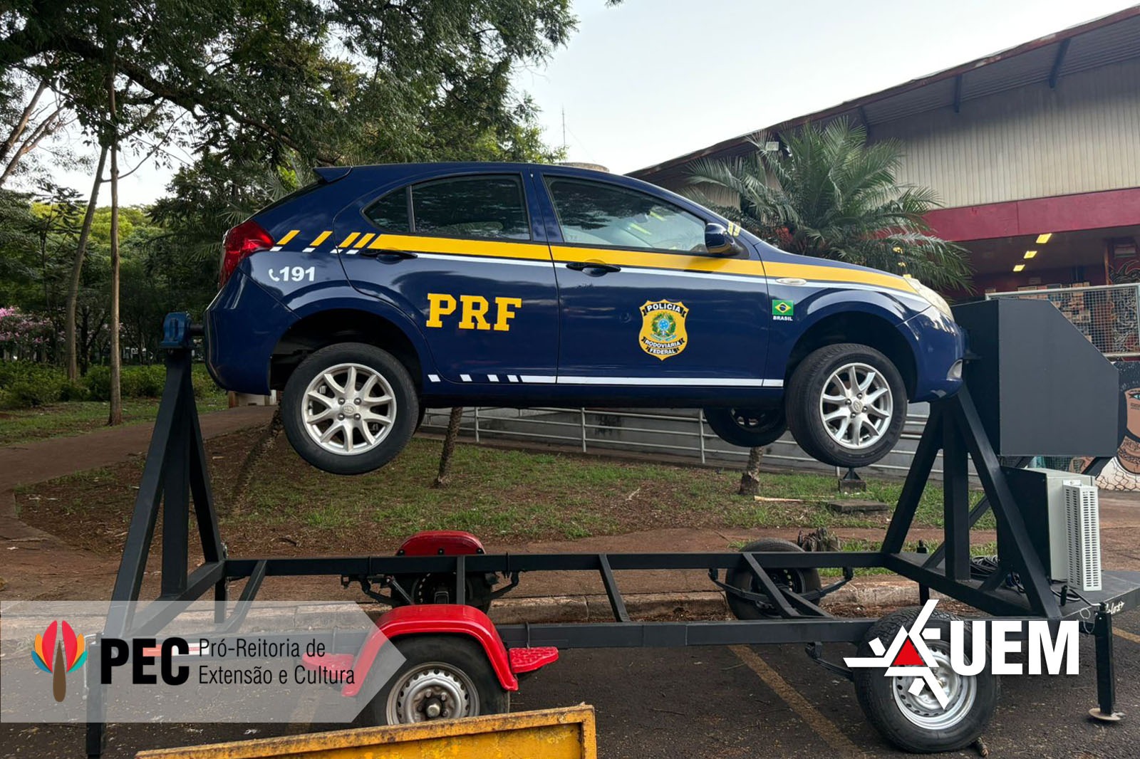 WhatsApp Image 2026-02-12 at 16.55.32.jpeg