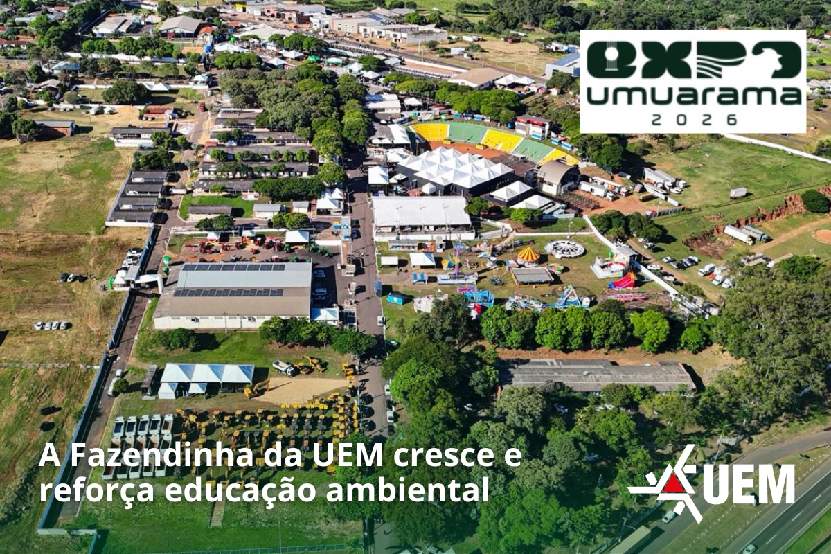 WhatsApp Image 2026 03 13 at 16.34.25