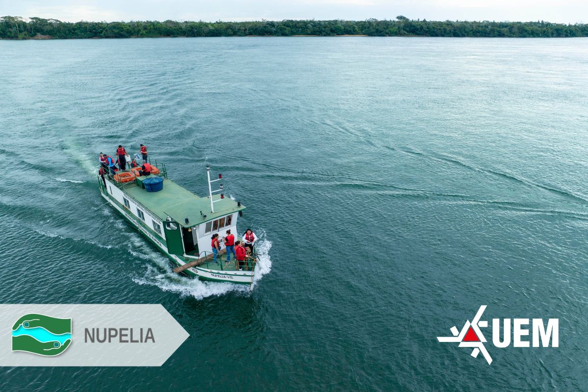 capa nupelia