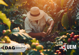 Dia de Campo sobre cafés especiais acontece nesta sexta em Mandaguari