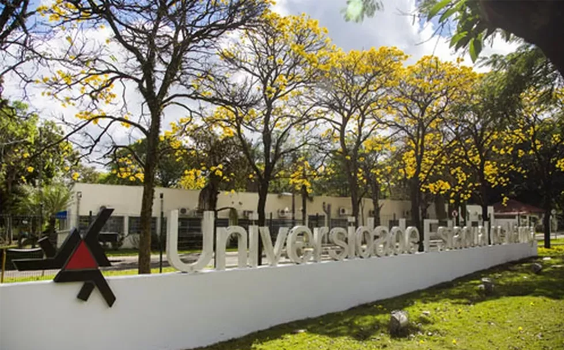 idosos-podem-se-inscrever-em-30-disciplinas-da-unati-uem-a-partir-de-5-de-setembro