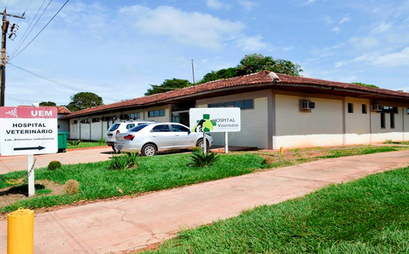 programa-conexao-uem-desta-sexta-destaca-o-hospital-veterinario-universitario-de-umuarama