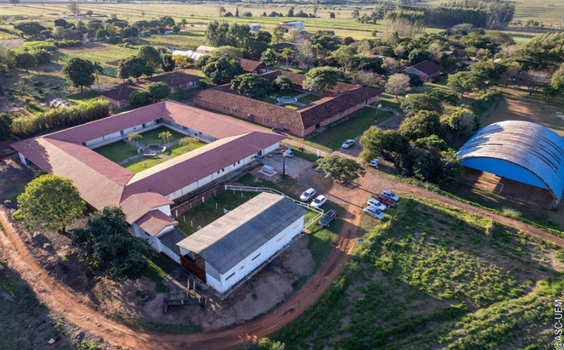 com-mais-de-16-mil-animais-atendidos-hospital-veterinario-da-uem-de-umuarama-celebra-20-anos