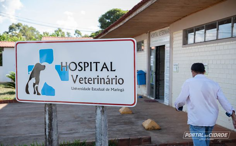conexao-uem-destaca-o-hospital-veterinario-universitario-de-umuarama