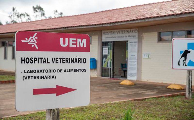 uem-publica-editais-do-vestibular-de-verao-e-do-pas-com-novos-cursos-em-umuarama