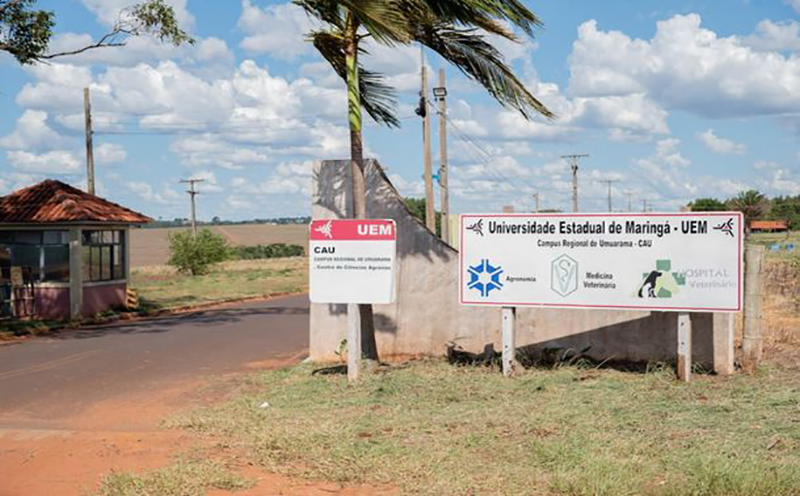 uem-vestibular-de-verao-e-pas-2024-tem-inscricoes-abertas-confira-orientacoes