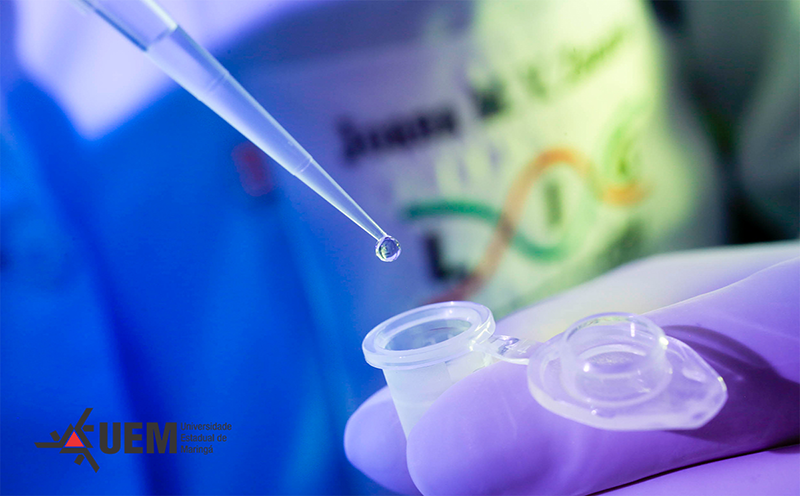 departamento-de-biotecnologia-da-uem-prorroga-inscricoes-para-especializacao-ead