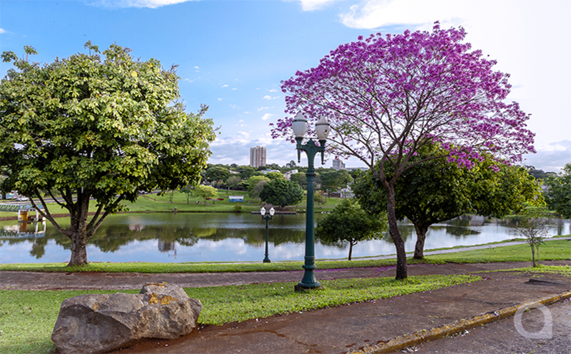 uem-realiza-acao-do-outubro-rosa-pet-no-lago-aratimbo