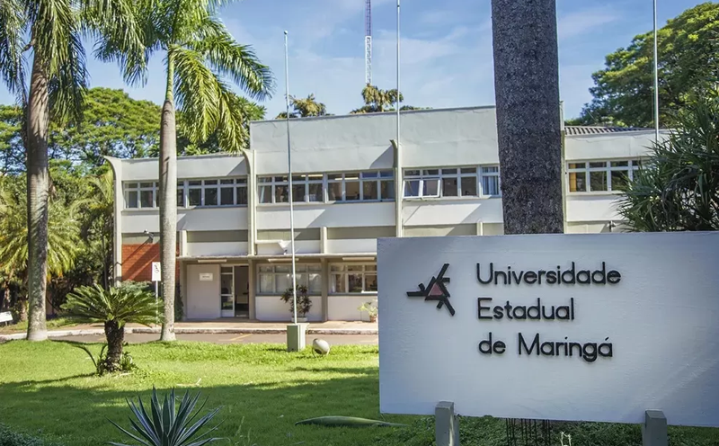 uem-esta-entre-as-quatro-do-pais-que-mais-pesquisam-biodiversidade