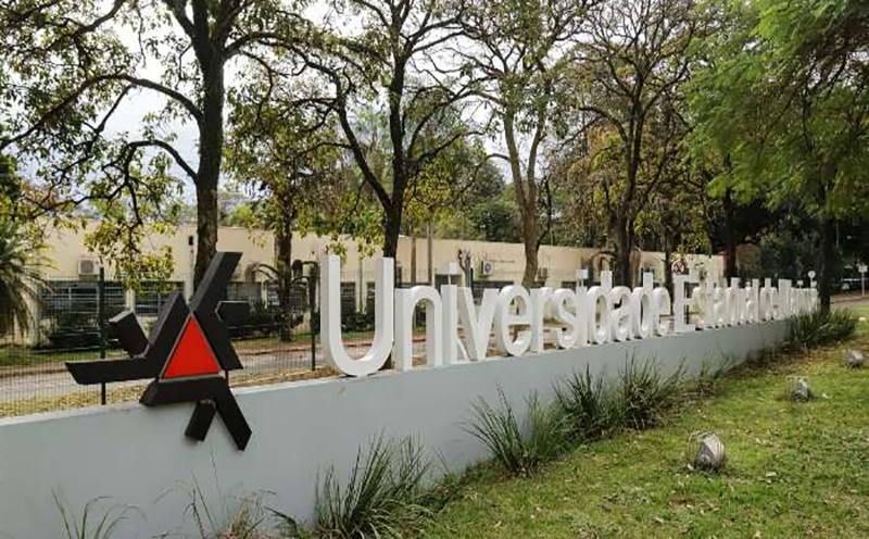 uem-esta-entre-as-quatro-estaduais-do-brasil-que-mais-pesquisam-biodiversidade