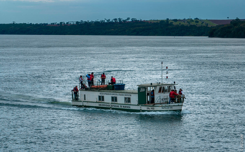 uem-esta-entre-as-4-estaduais-do-pais-que-mais-estudam-biodiversidade