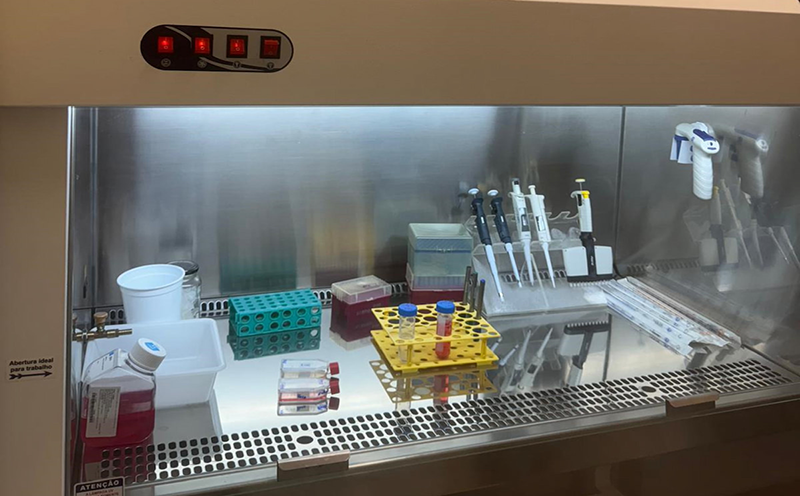 universidade-do-parana-desenvolve-projeto-sobre-uso-de-propolis-no-tratamento-do-cancer-de-mama