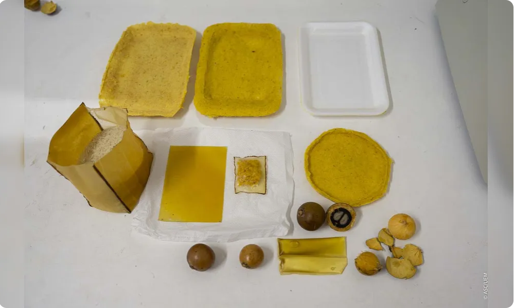 9461c187-bfb7-46d7-8252-b9b473daf793