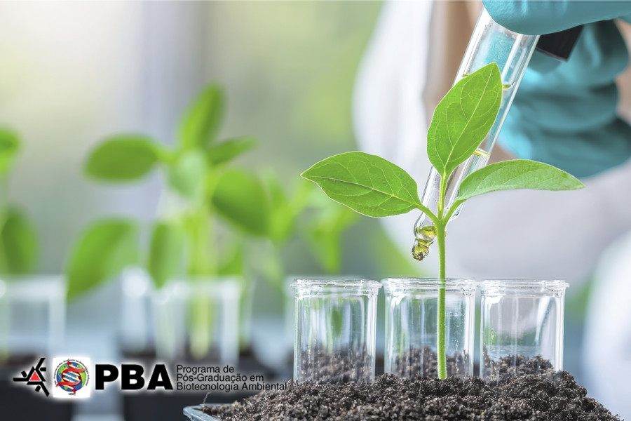 pba-biotec-ambiental