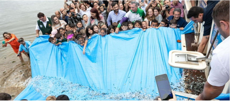 7505cc47-6f32-4dc0-9283-d842f94c2a4e