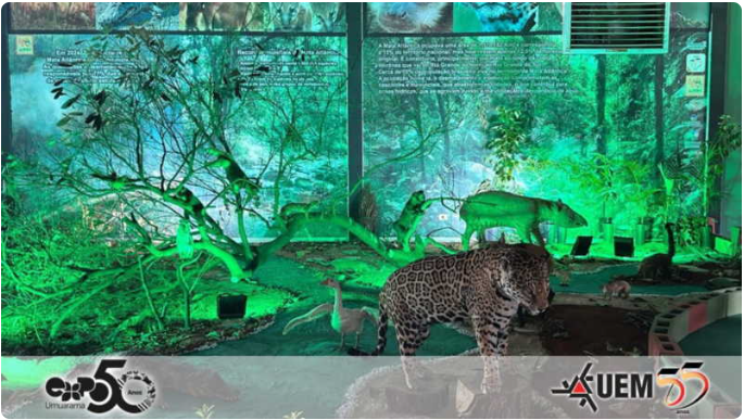 c858f364-612c-4380-b5be-ee9eb3fb3408