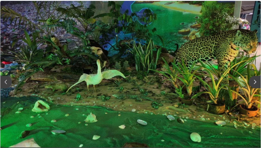 9c0057f3-7713-4b20-873d-71e35e731ca8