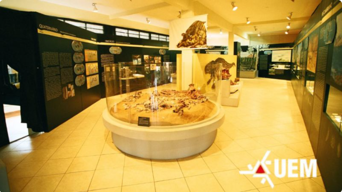 717e0945-b398-4156-b1d4-b6a4ad68f400