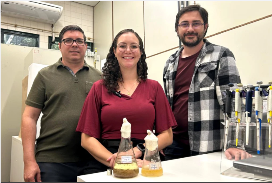 3e46c392-8bbe-4b98-a829-04ac3fdd7a89