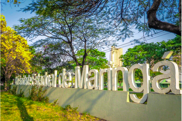 ef762d97-9c02-4c17-a567-cef0be8d2868