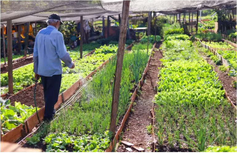 e7193909-ac8a-471f-b3c7-51aab995f6e6