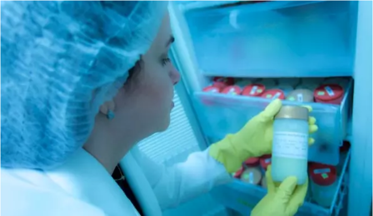 66dd9e67-2023-4b9f-8d5b-44fff77fb762