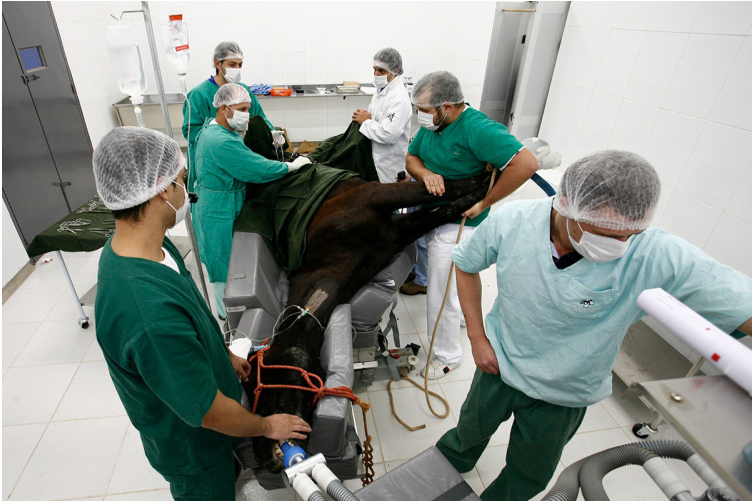 778ad3a3-496c-4b29-85f3-2c46b4c54d64