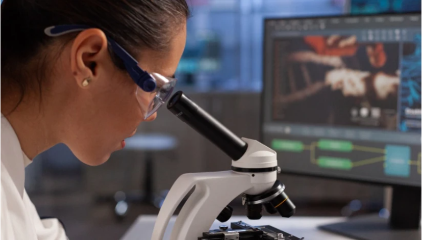 95c151b9-5474-423f-a478-7bfaf8d908bd