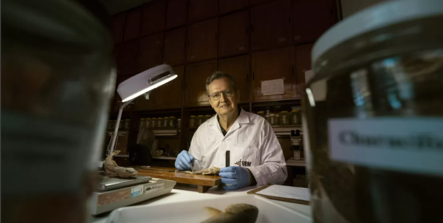 2a7ec4fe-0211-402d-b785-bc6d13d584c0