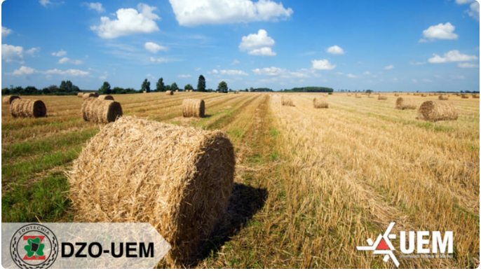 bcc05068-23ba-44de-ad4c-ae72c872d927