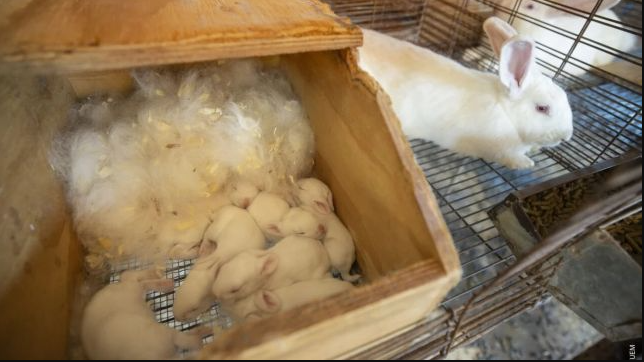 captura-de-tela-2025-12-08-161728