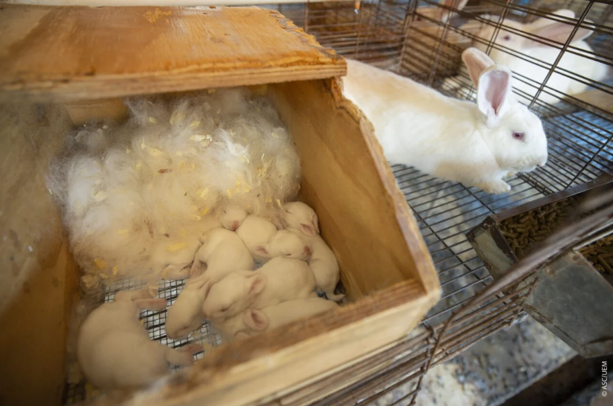 captura-de-tela-2025-12-08-161202