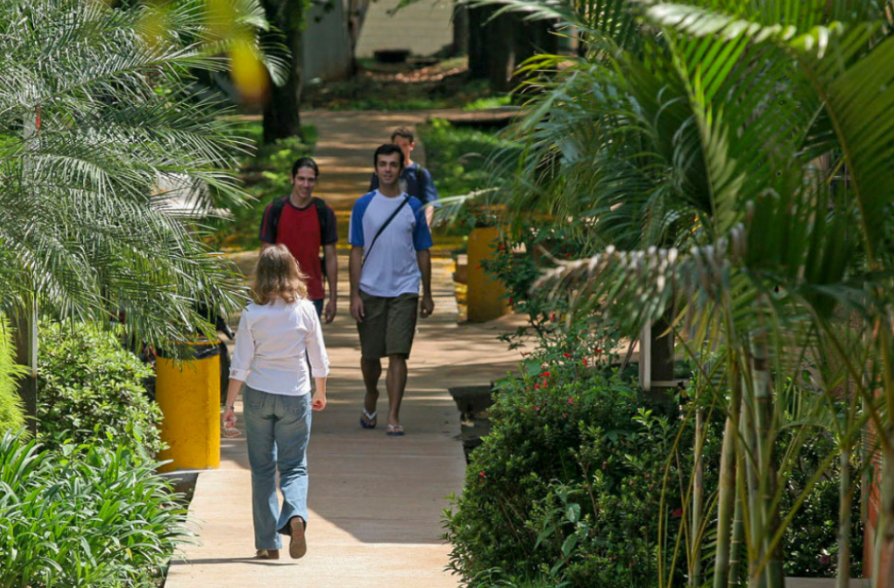 captura-de-tela-2026-01-21-140923