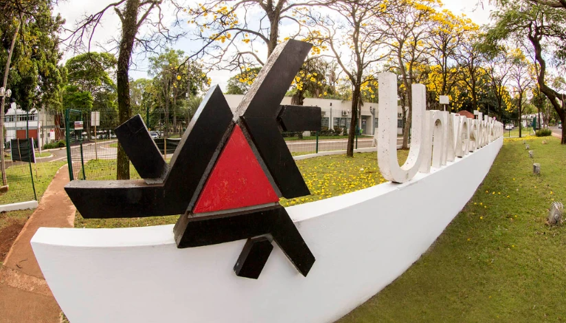 captura-de-tela-2026-02-13-175813