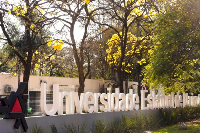 captura-de-tela-2026-02-13-181418