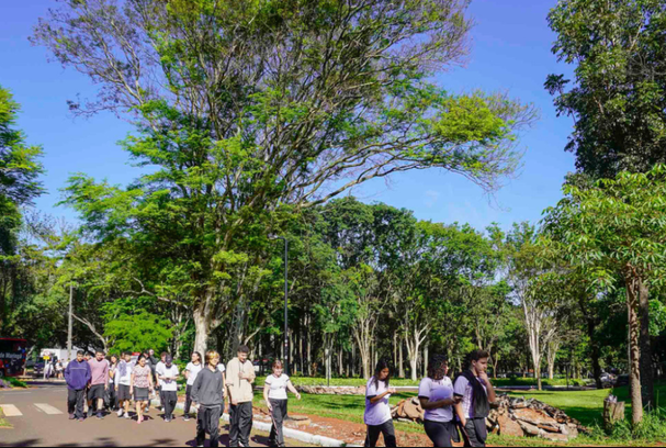 captura-de-tela-2026-02-19-164236