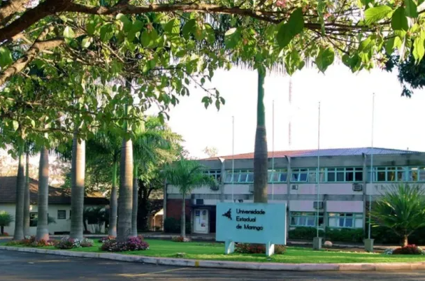 captura-de-tela-2026-02-19-171413