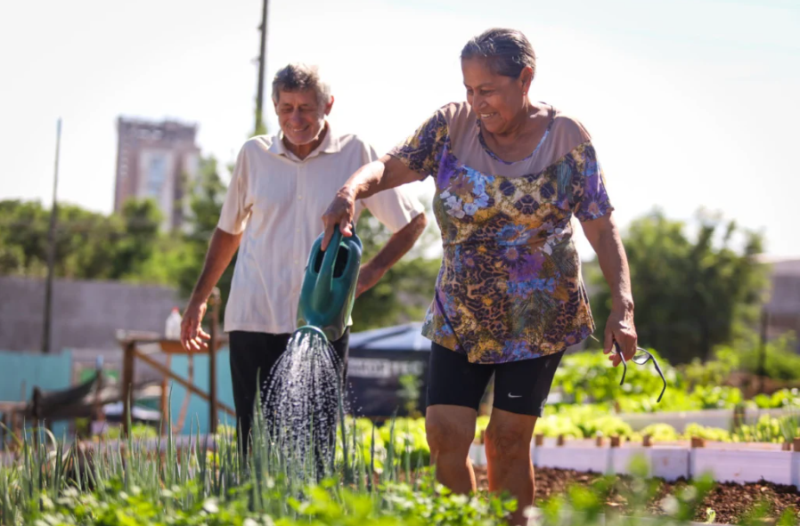 captura-de-tela-2026-02-20-152714